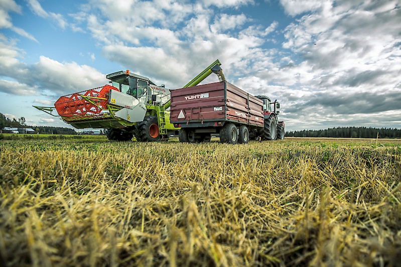 3. Suomi kasvaa ruuasta, Leena Hanni